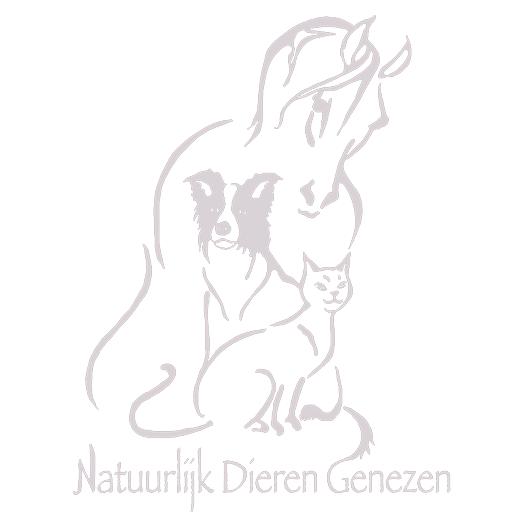Natuurlijk Dieren Genezen